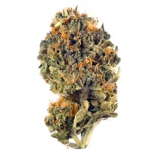 Royal Purple Makru Farms