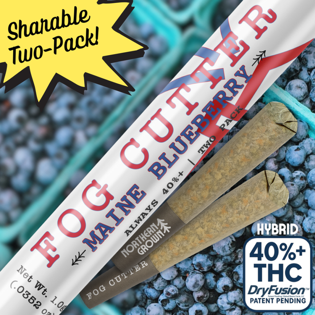 Fog Cutter Maine Blueberry Resin Cannabis Cured