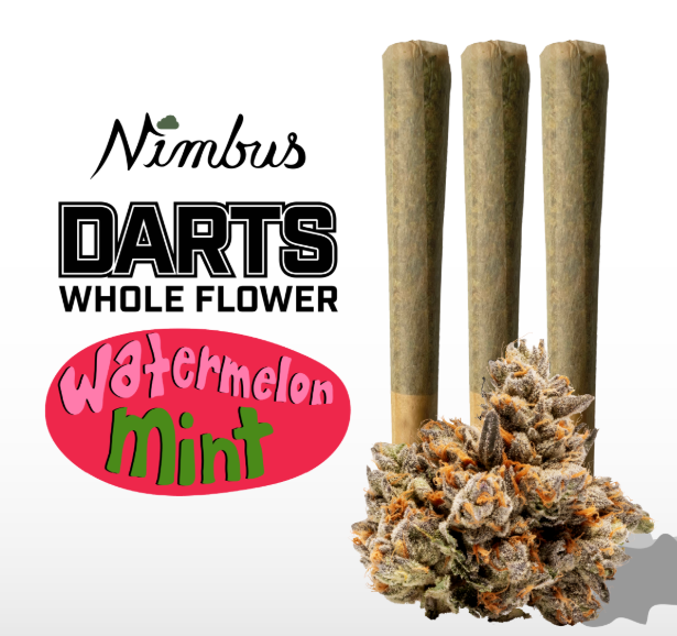 Darts Watermelon Mint Nimbus