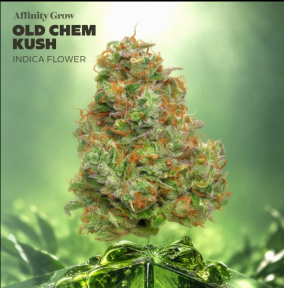 Old Chem Kush Affinity Grow
