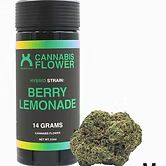 Berry Lemonade urbanXtracts