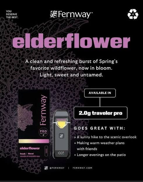 Elderflower Fernway Elderflower Fernway