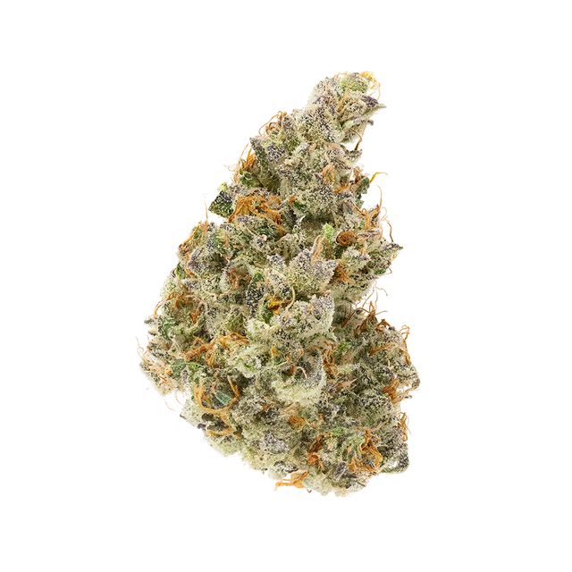 Grape Thai Terrapin