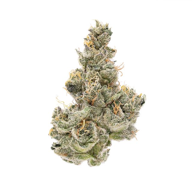 NYC Sour Diesel Terrapin