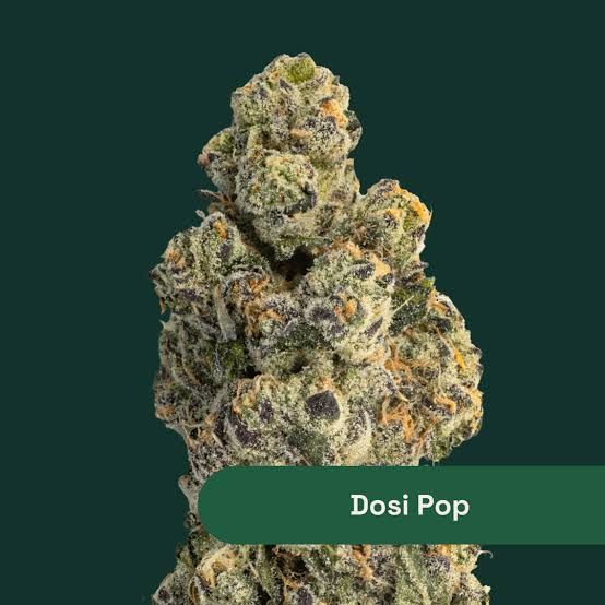 Dosi Pop The Botanist Dosi Pop The Botanist