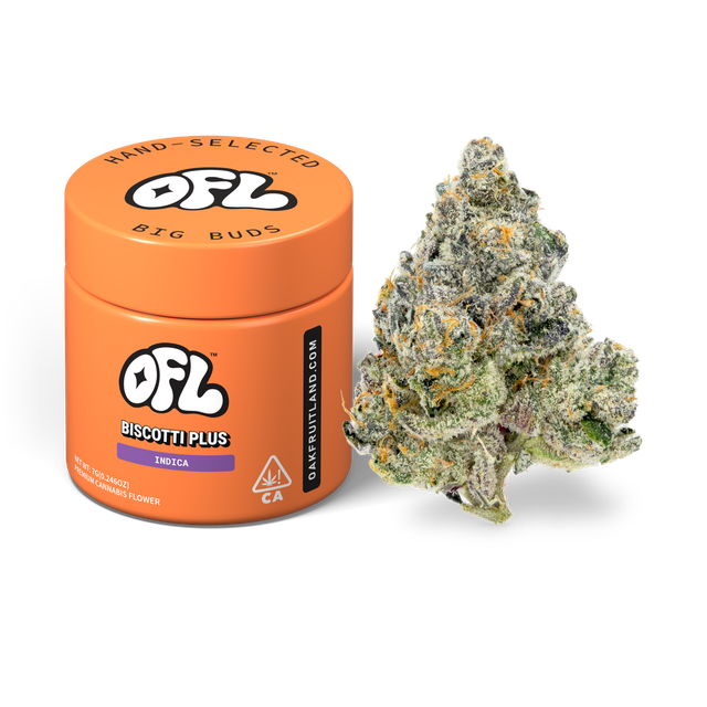 Biscotti Plus Oakfruitland Biscotti Plus Oakfruitland