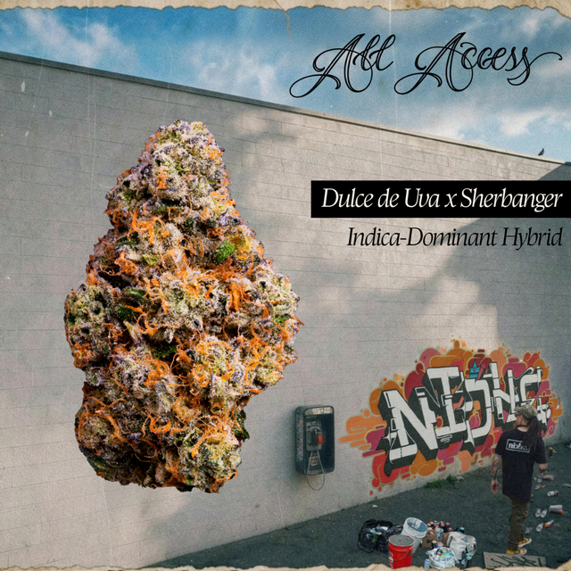 Dulce de Uva x Sherbanger All Access by Niche Dulce de Uva x Sherbanger All Access by Niche