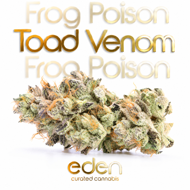 Toad Venom | AKA Frog Poison