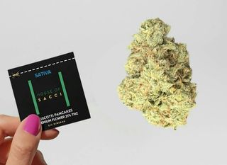 Cannabis Promo, Cannabis Sales, Cannabis Discounts, Cannabis on Sale, House Of Sacci 5 For $40 1