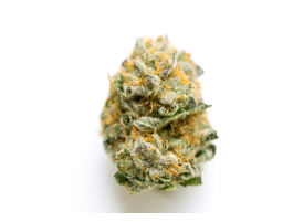 Blue Dream Solar Cannabis Co.
