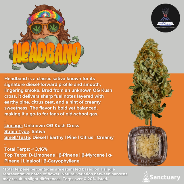 Headband - Cured Resin Volcanna