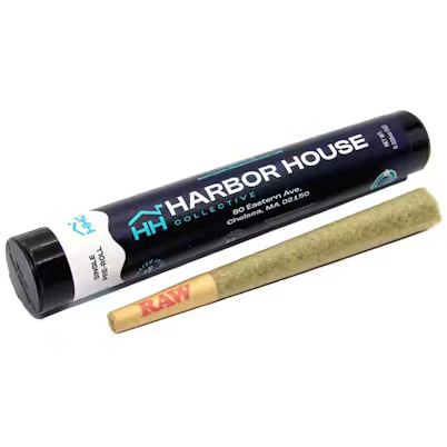 GMO Harbor House