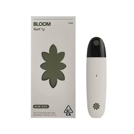 Super Lemon Haze Bloom Super Lemon Haze Bloom