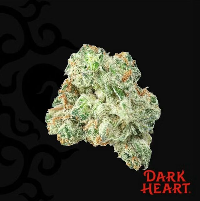 Delphi Diesel Dark Heart
