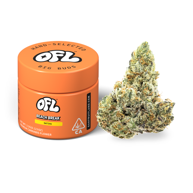 Beach Break Oakfruitland