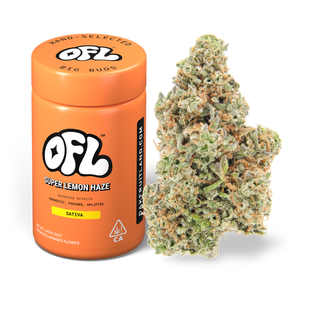 Super Lemon Haze Oakfruitland