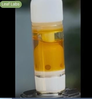 Cherry Vanilla Cheese Live Sauce Leaf Labs