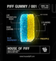 Sour Blue Raspberry + Pineapple House of Piff Sour Blue Raspberry + Pineapple House of Piff