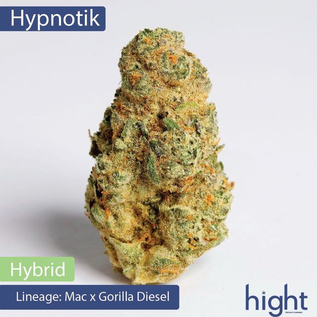 Hypnotik Hight