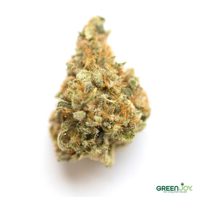 Mandarin Cookies Green Joy