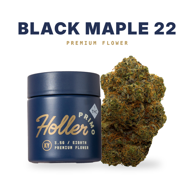 Black Maple 22 Holler Primo