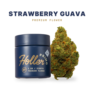 Strawberry Guava Holler Primo