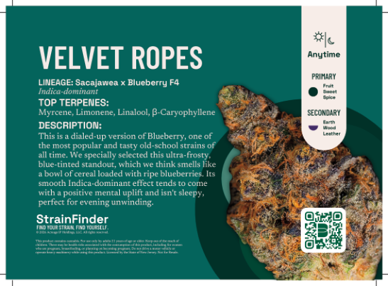 Velvet Ropes | Superflux Velvet Ropes | Superflux