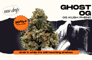 Ghost OG Legacy