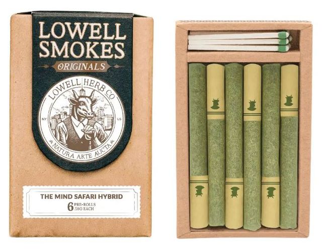Smokes - Mind Safari Lowell