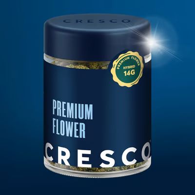 Dew Too Cresco
