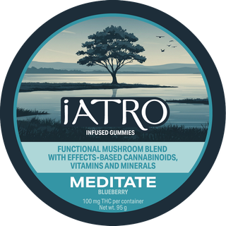 I Meditate - Blueberry | 100mg THC : 250mg CBD I iATRO