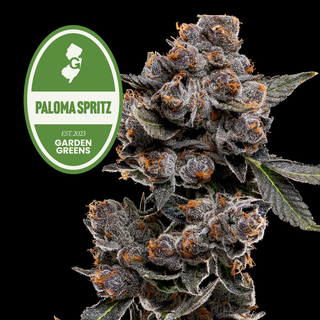 Paloma Spritz Garden Greens