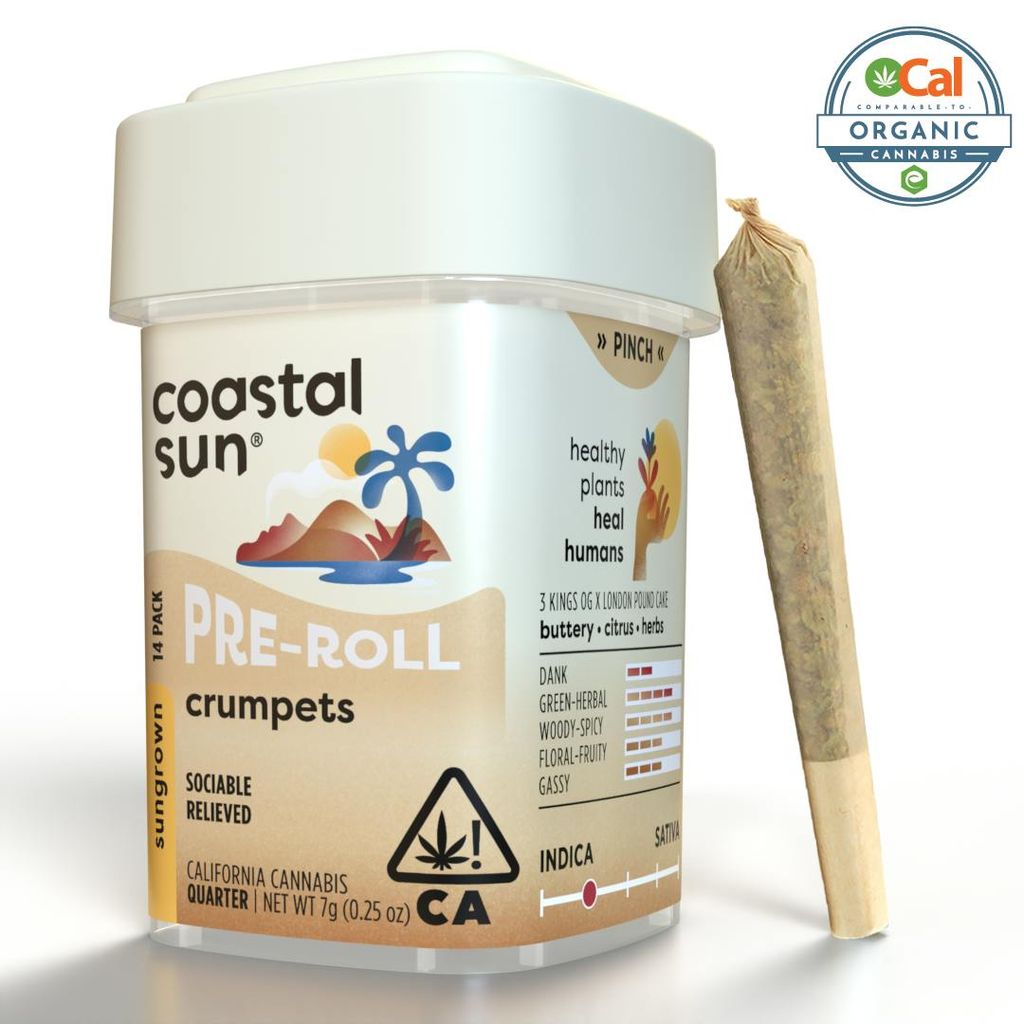 Coastal Sun: Crumpets 14