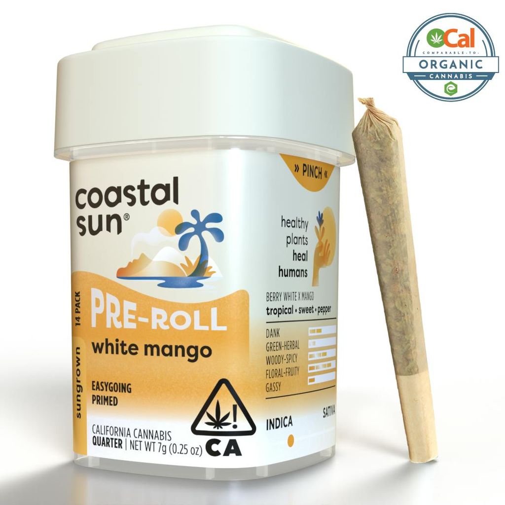 Coastal Sun: Mango Lemon Haze