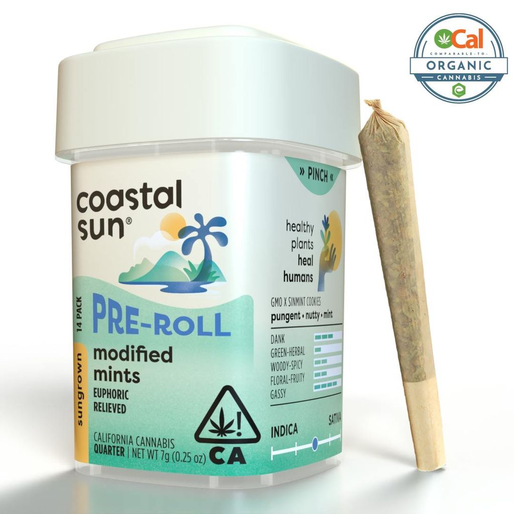 Coastal Sun: Modified Mints