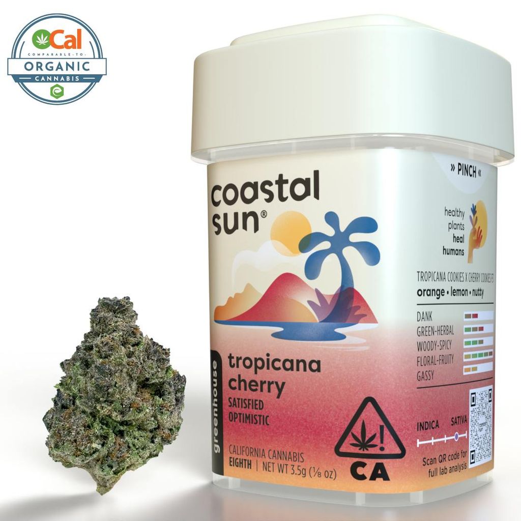 Coastal Sun: Tropicanna Cherry