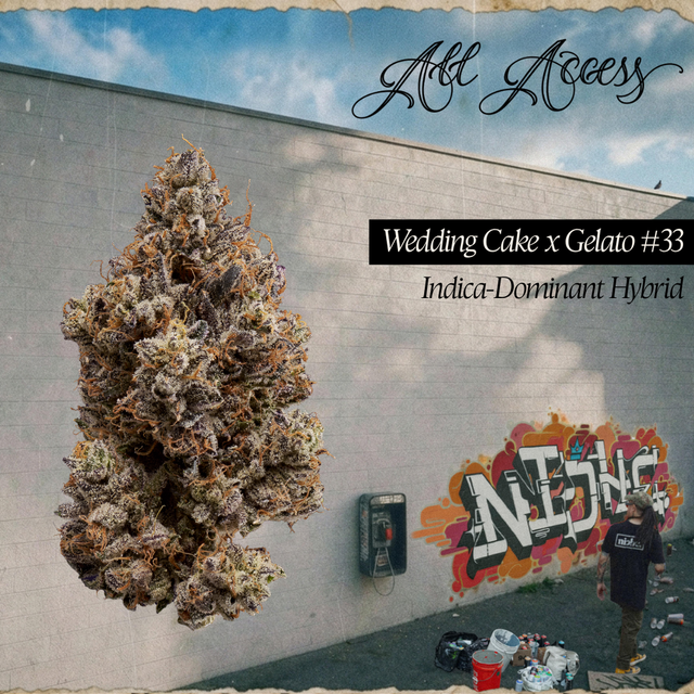 Wedding Cake x Gelato #33 All Access by Niche Wedding Cake x Gelato #33 All Access by Niche