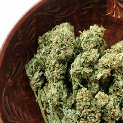 Acapulco Gold 3.5g Rhythm of Life
