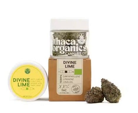 Divine Lime Ithaca Organics Cannabis Co.