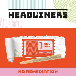 Pandarine Headliners