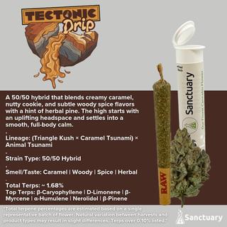Tectonic Drip Sanctuary