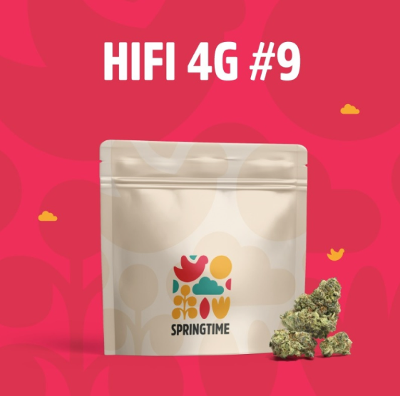 Hifi 4G #9 Springtime