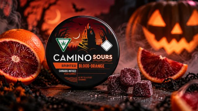 SOUR BLOOD ORANGE - (s) CAMINO