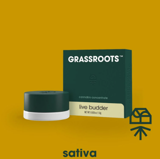 Citradelic Haze Grassroots