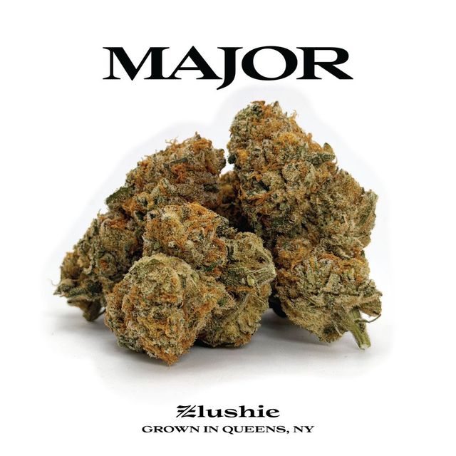Zlushie Major Zlushie Major