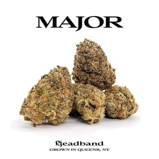 Headband 3.5g Major Headband 3.5g Major