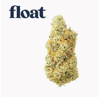 Deluxe Sugar Cane Float