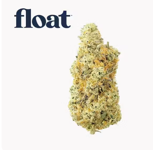 Deluxe Sugar Cane Float Deluxe Sugar Cane Float