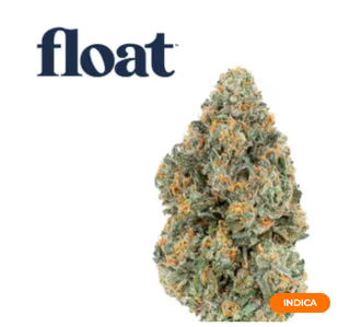 Double Stuffed Float