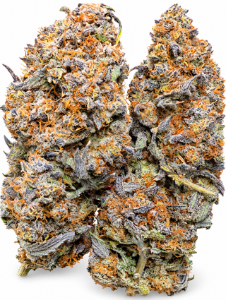 G.M.O. Cookies 716 Sticky